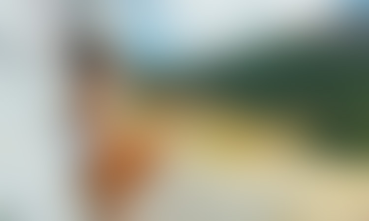 blog preview image