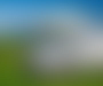 blog preview image
