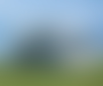 blog preview image