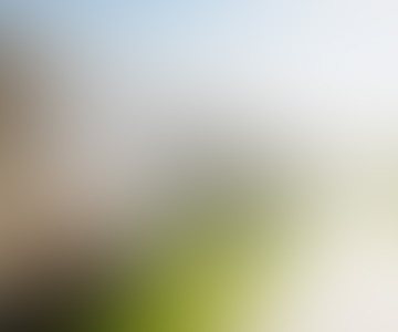 blog preview image